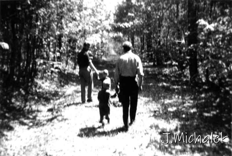 ForestPath1.jpg