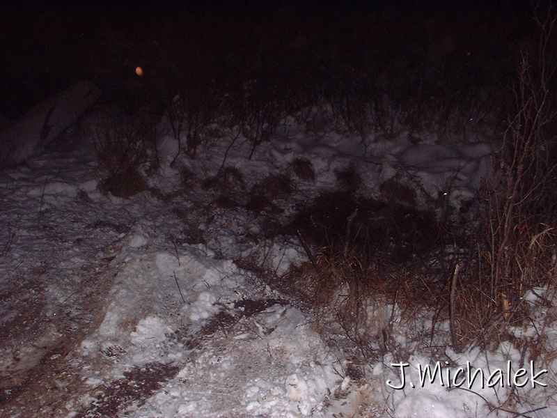 DSCF0054.JPG