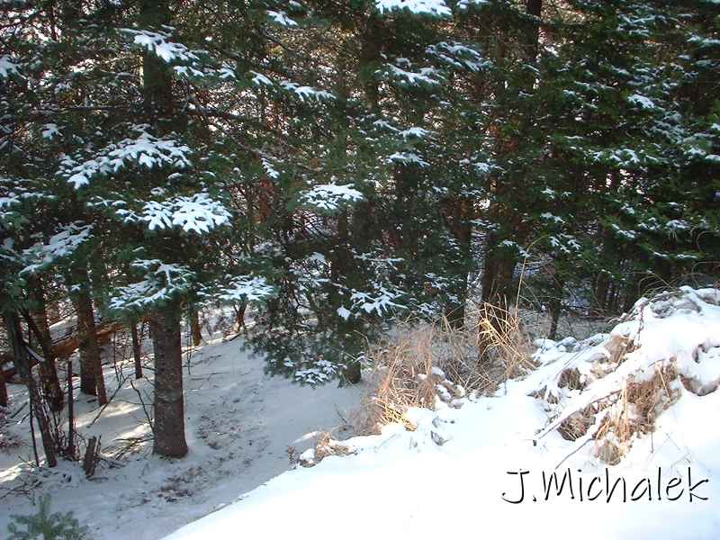 DSCF0071.JPG