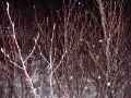 DSCF0050