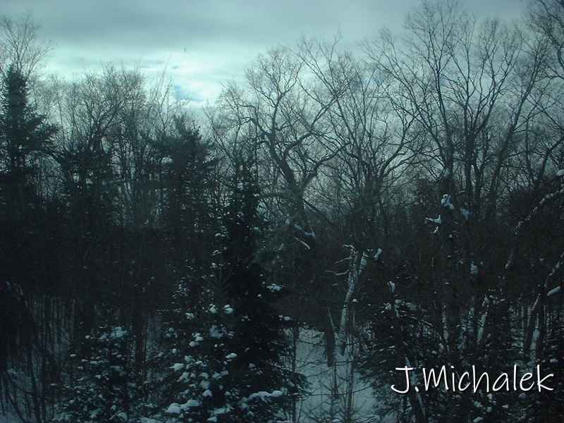 DSCF0268.JPG
