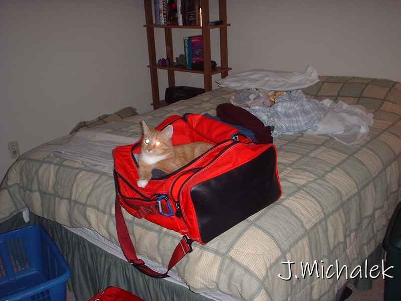 DSCF0317.JPG