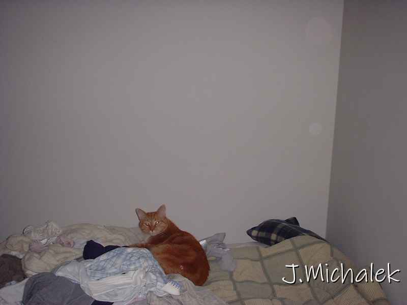 DSCF0572.JPG