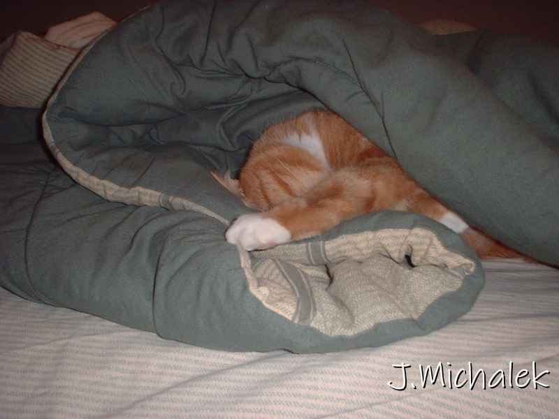 DSCF0606.JPG