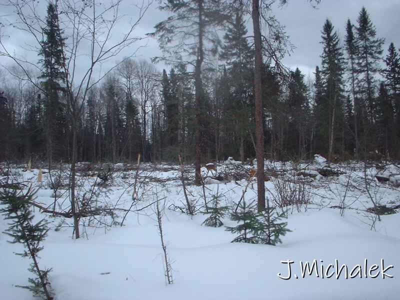 DSCF0388.JPG
