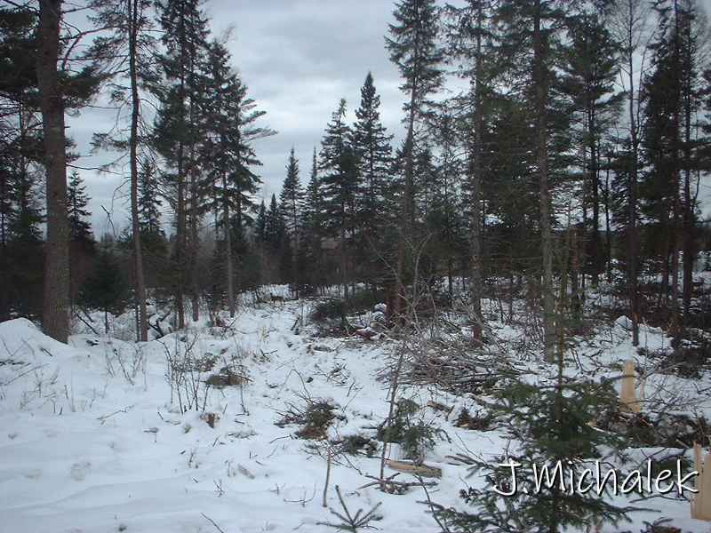 DSCF0389.JPG