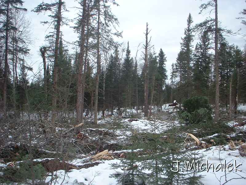DSCF0390.JPG