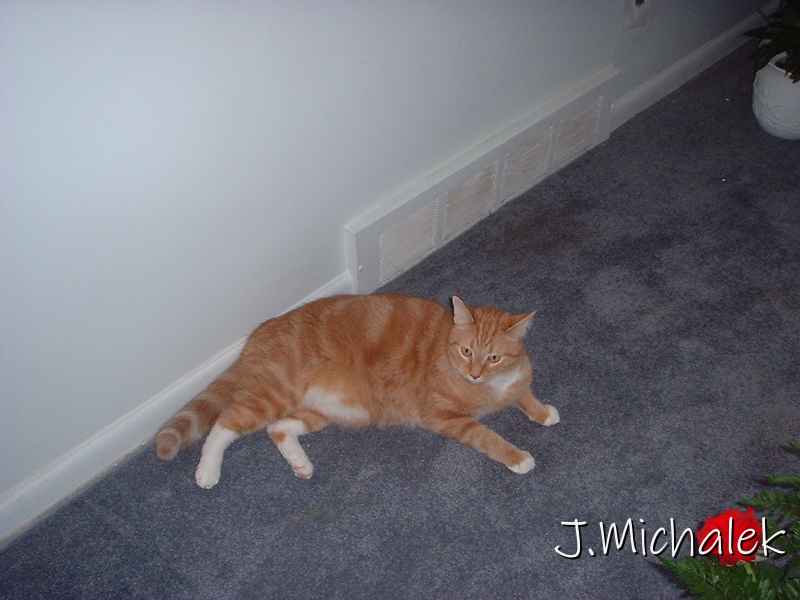 DSCF0563.JPG