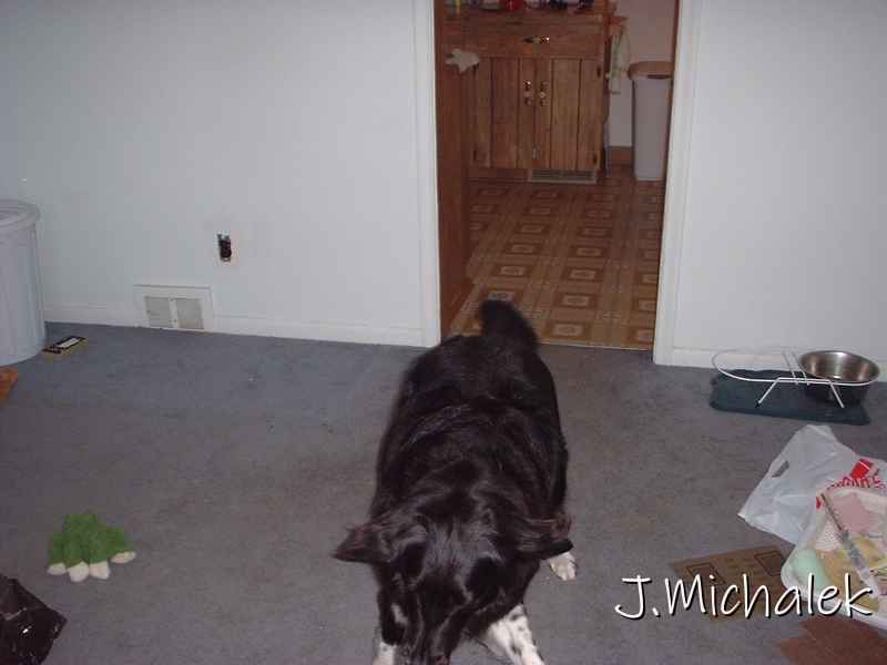 DSCF0570.JPG