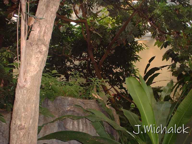 DSCF0684.JPG