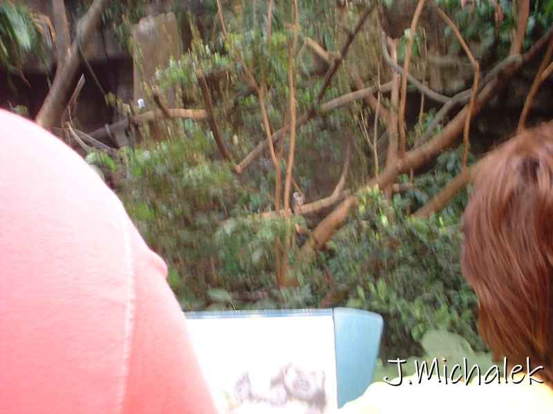 DSCF0694.JPG