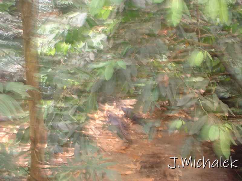 DSCF0703.JPG