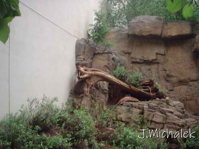 DSCF0705.JPG