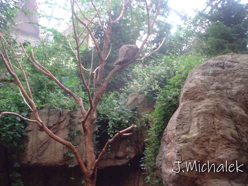 DSCF0706.JPG