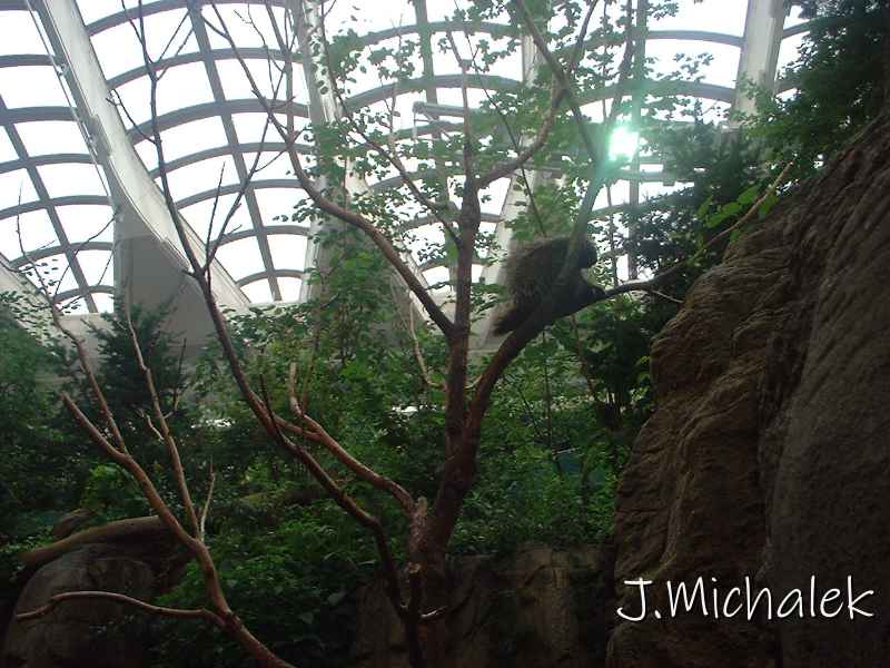 DSCF0708.JPG