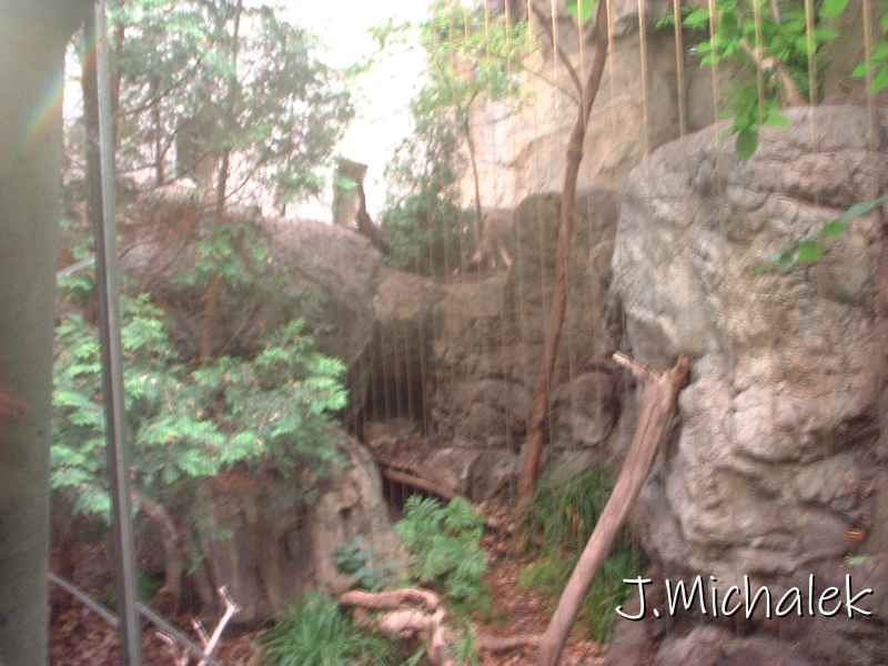 DSCF0709.JPG