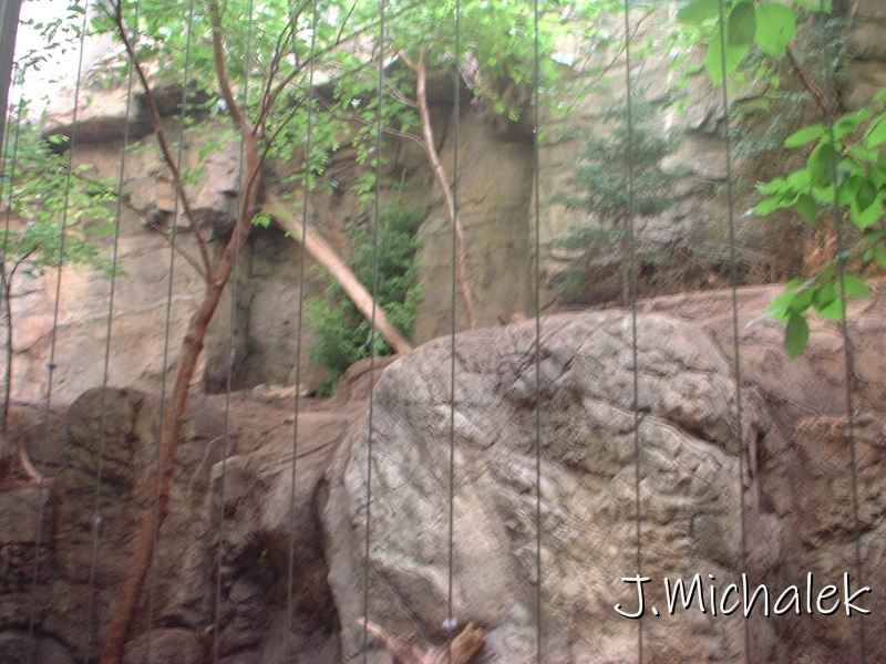 DSCF0711.JPG