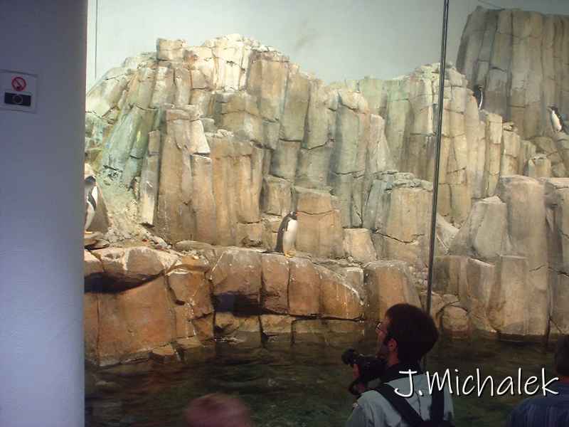 DSCF0718.JPG