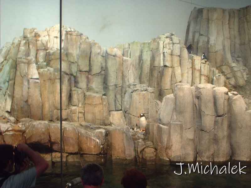 DSCF0720.JPG