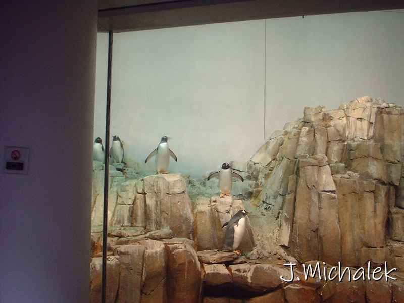 DSCF0721.JPG