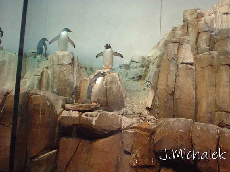 DSCF0724.JPG