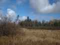 DSCF0018