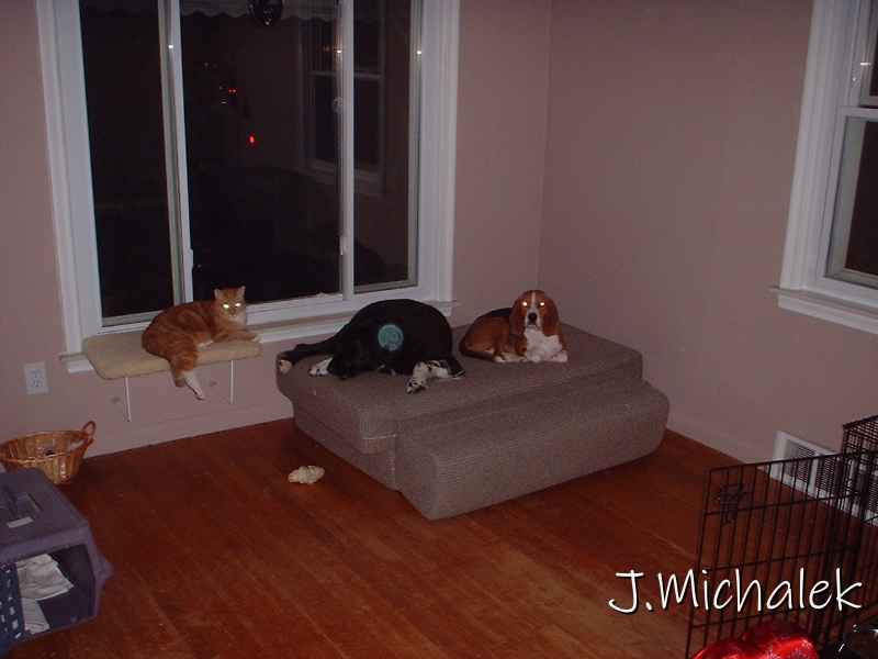 DSCF0232.JPG