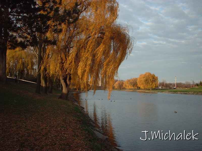 DSCF0243.JPG