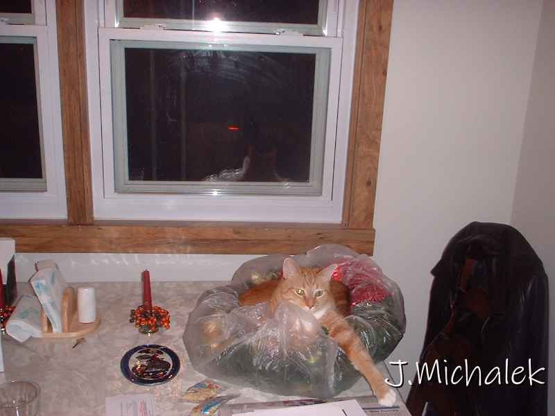 DSCF0258.JPG
