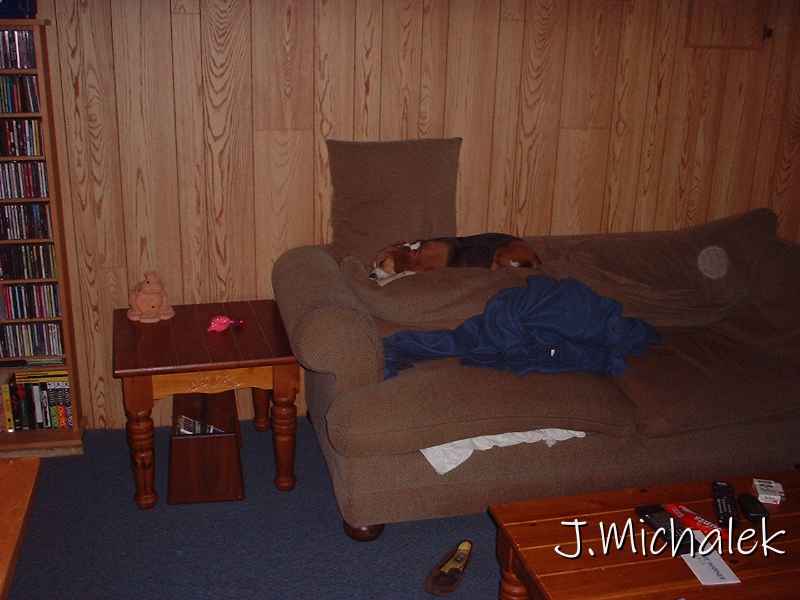 DSCF0194.JPG