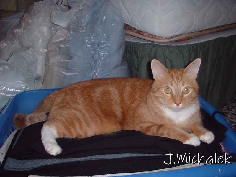 DSCF0416.JPG