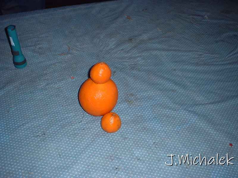 DSCF0098.JPG