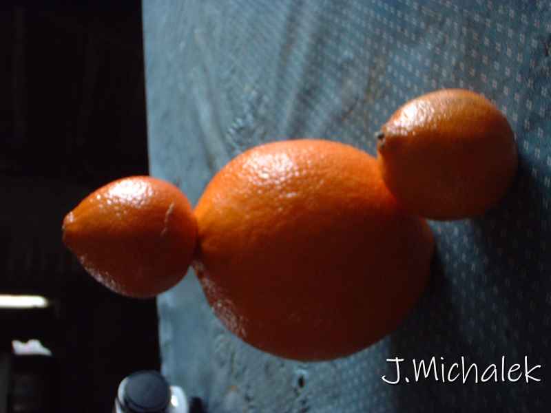 DSCF0099.JPG