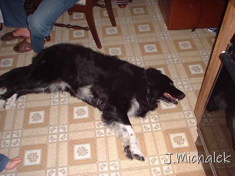 DSCF0005.JPG