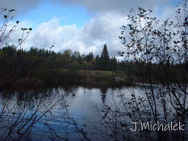DSCF0039.JPG