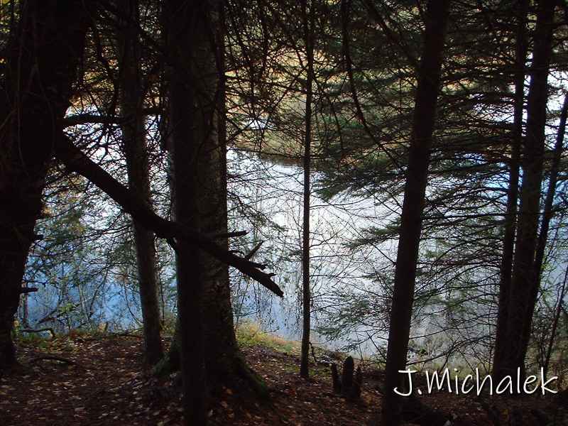 DSCF0041.JPG