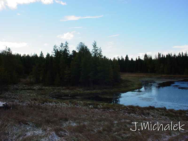 DSC00853.JPG