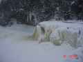 013004_SnowmoInCedarville