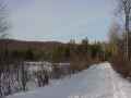 DSC01925