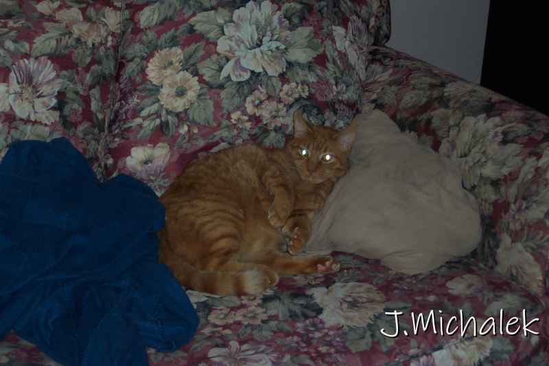 100_2285.JPG