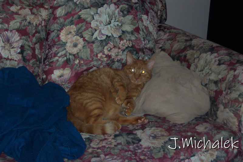 100_2286.JPG