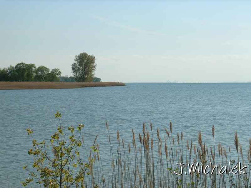 DSCN2319.JPG