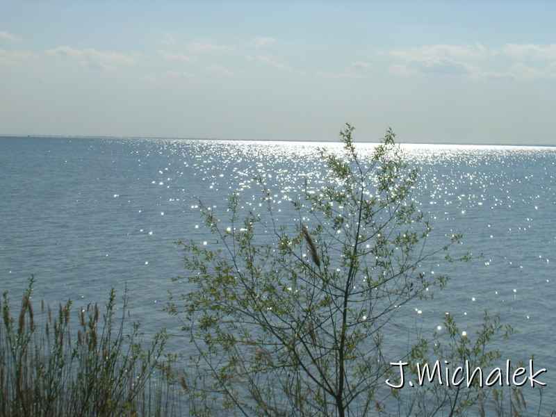 DSCN2320.JPG