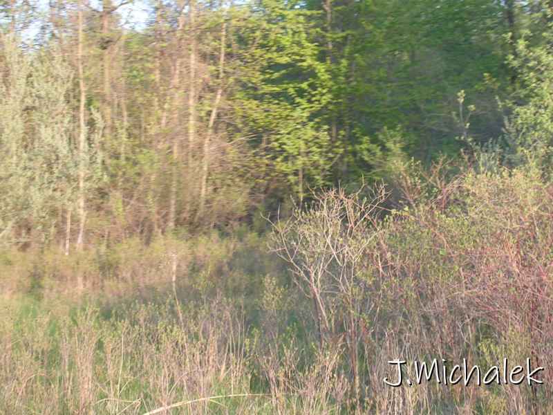 DSCN2339.JPG