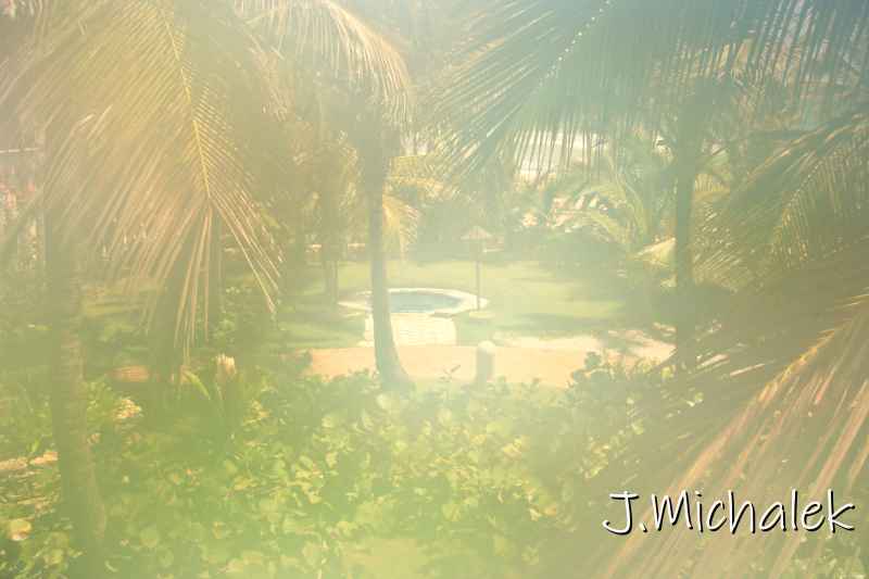 100_2870.JPG