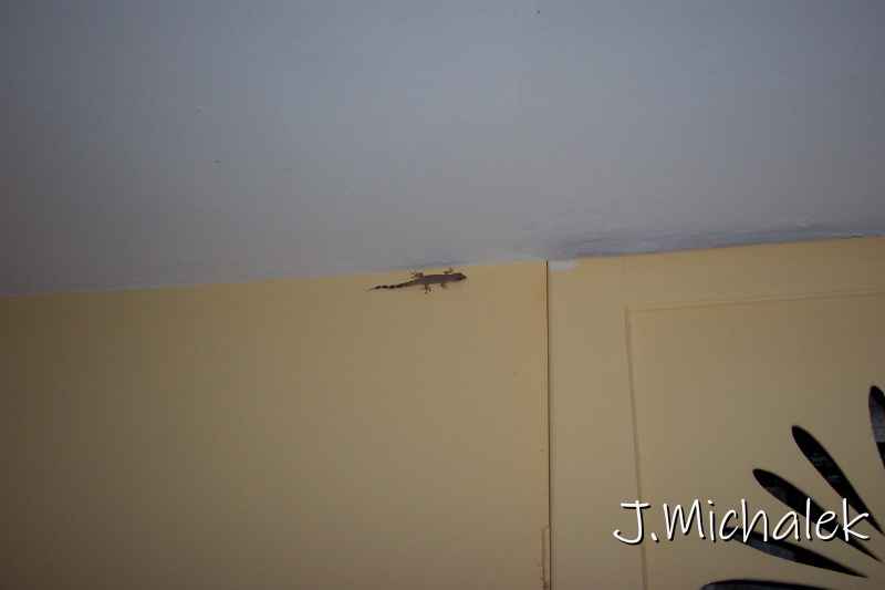 100_3075.JPG
