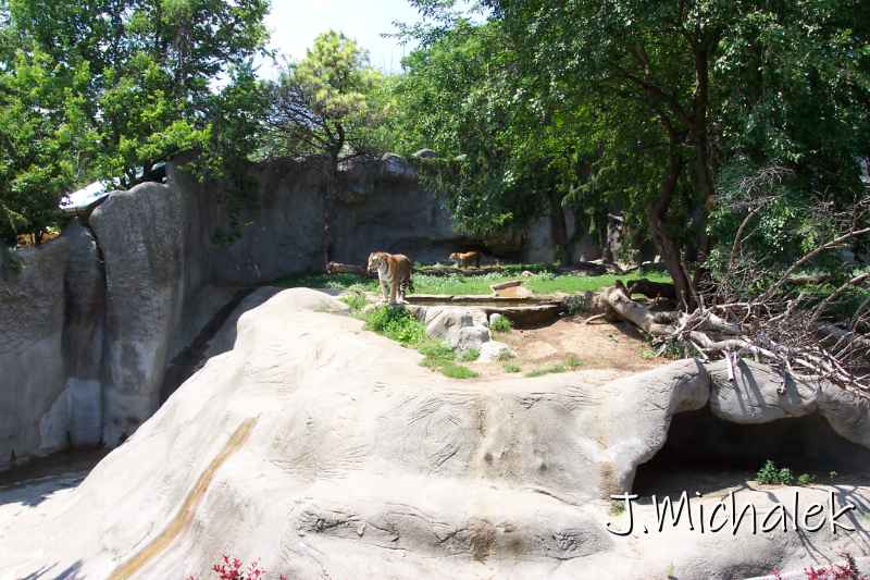 100_3226.JPG