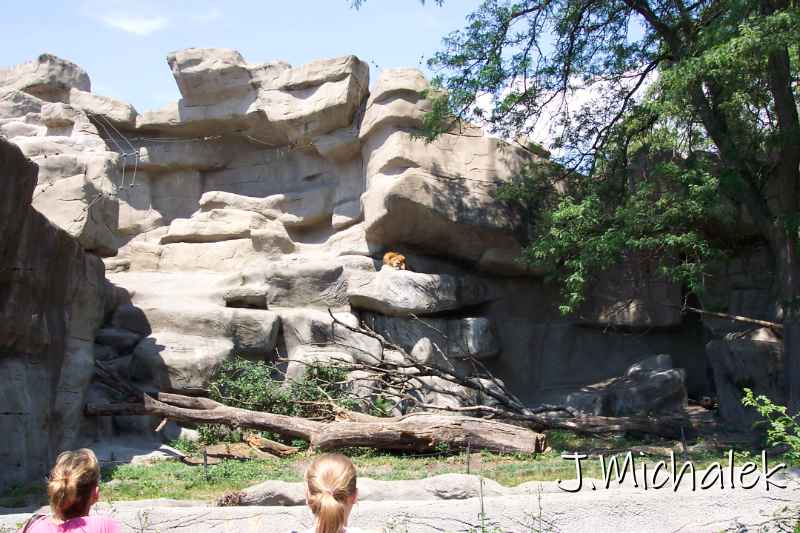100_3233.JPG