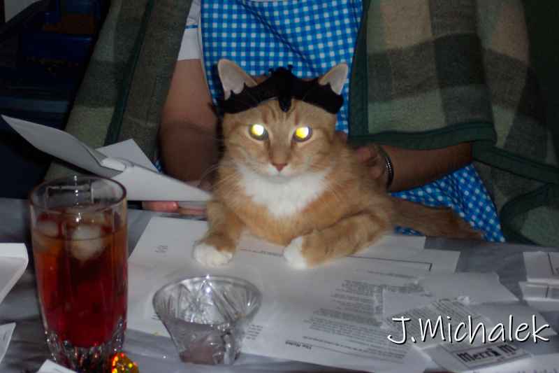 100_3612.JPG