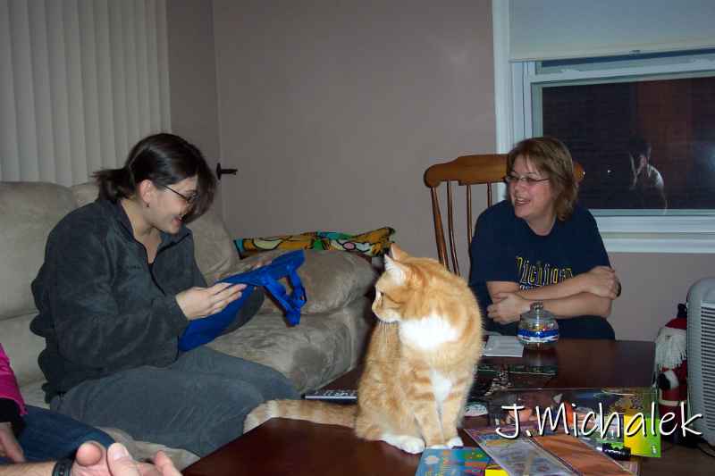 100_3958.JPG